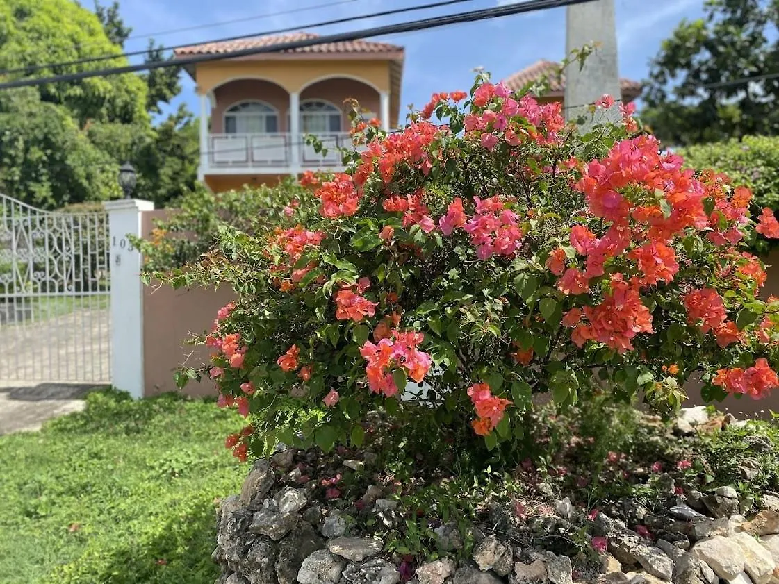 Yanceylargoestate 2Br Villa With Mountain Views Μοντέγκο Μπέυ